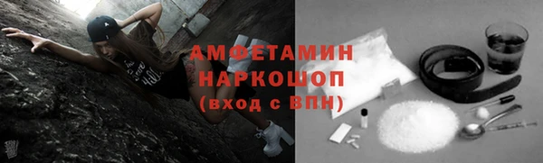 молекула духа Нягань