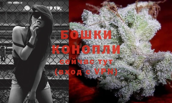 тгк Новокубанск
