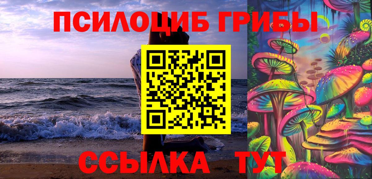 Псилоцибиновые грибы Psilocybine cubensis Чистополь