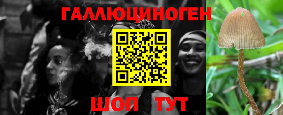 Галлюциногенные грибы GOLDEN TEACHER Чистополь